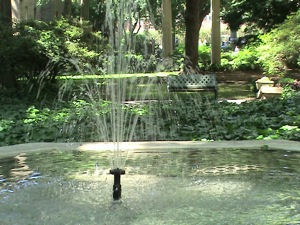 jackson heights historic home garden tour