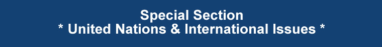 united nations international affairs UN nyc